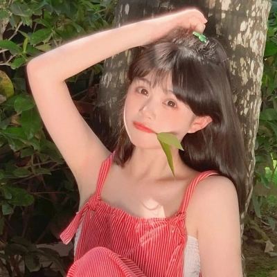 诺亚幻想无限钻石版下载